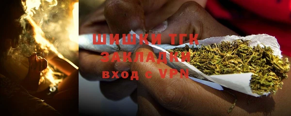 прущие грибы Вязники
