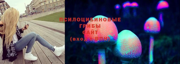 СК Сосновка