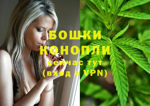 прущая мука Вяземский