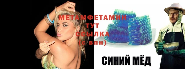 прущие грибы Вязники