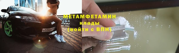 крисы Сосновый Бор