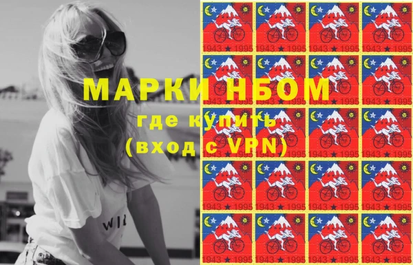 прущие грибы Вязники