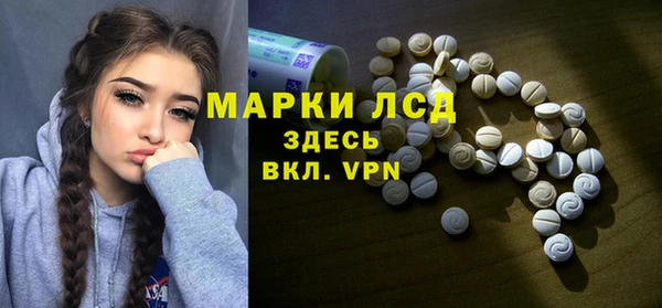 прущая мука Вяземский