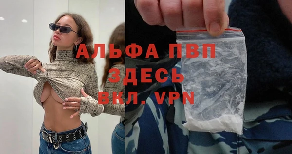 прущие грибы Вязники