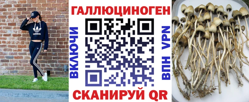 MEGA вход  Гусев  Псилоцибиновые грибы мухоморы 